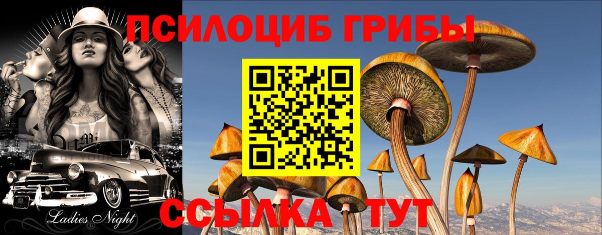 Галлюциногенные грибы GOLDEN TEACHER  Псилоцибиновые грибы Magic Shrooms  Обнинск  Вход с VPN 