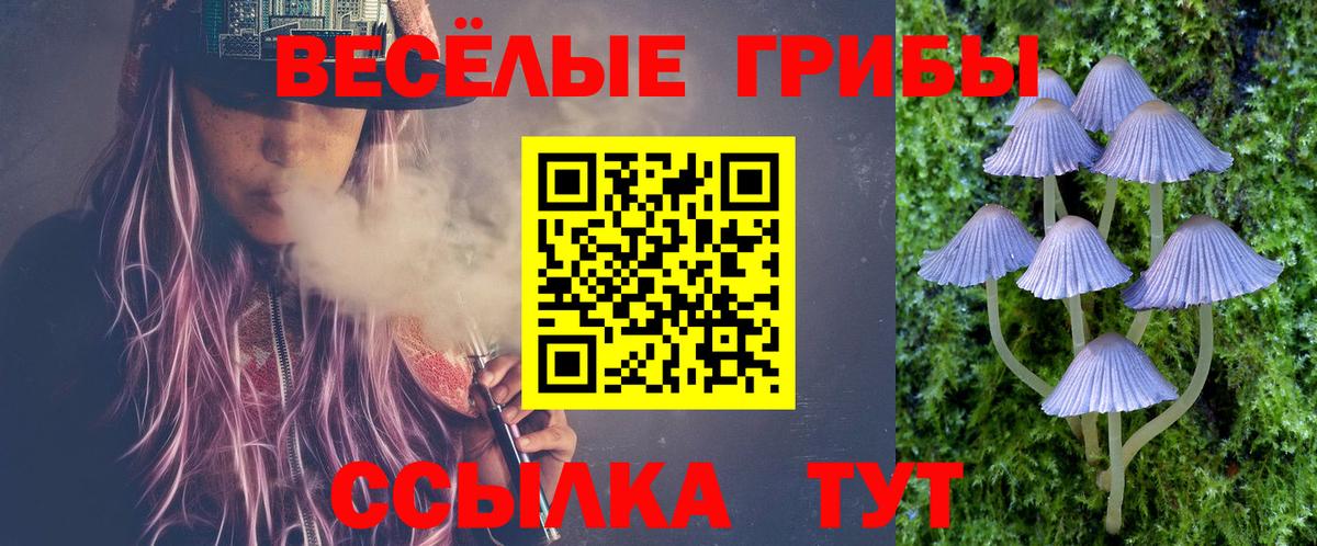 Галлюциногенные грибы мухоморы Обнинск